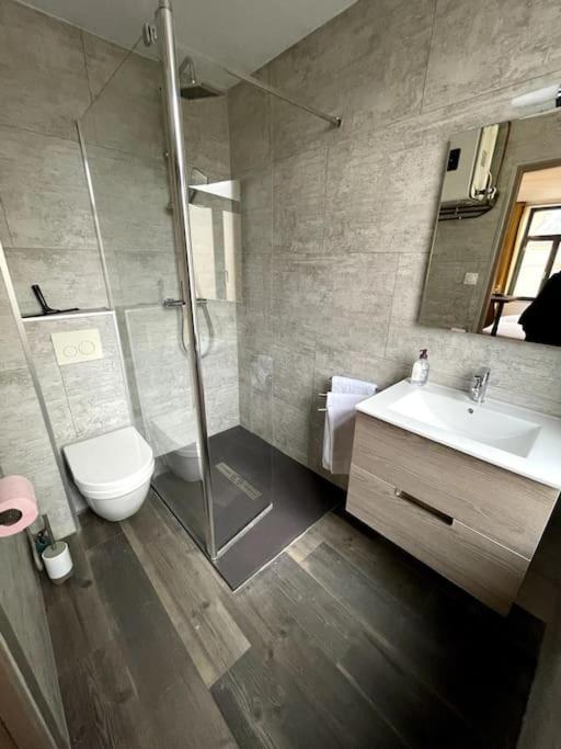Cosy Studio Lumineux Metz Hypercentre المظهر الخارجي الصورة